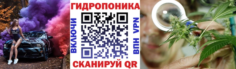 Каннабис LSD WEED Красный Холм